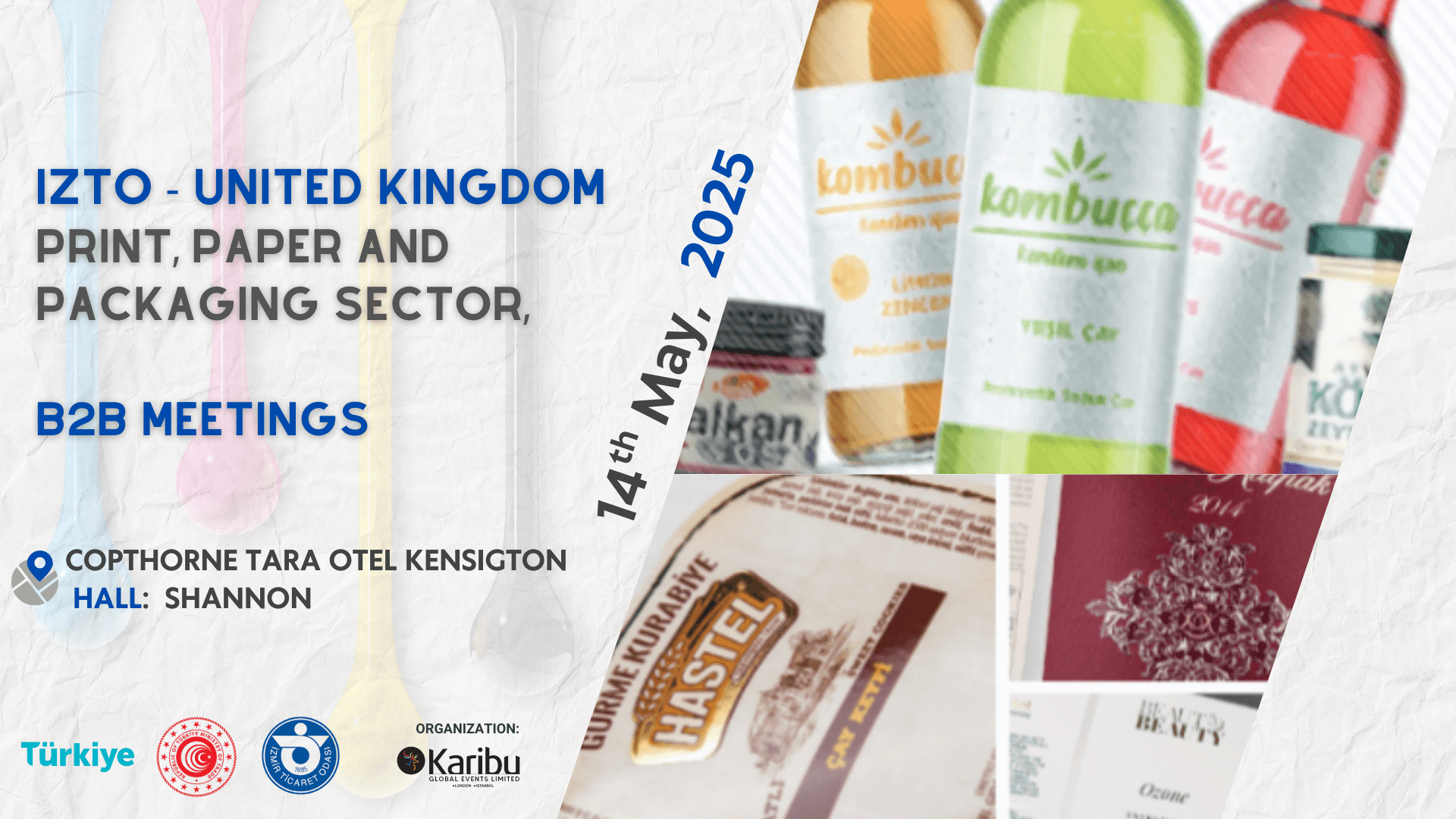 Discover Sustainable Paper Solutions